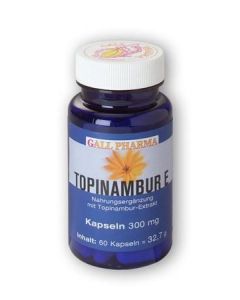 GPH Topinambur E Kapseln, 120 Stück