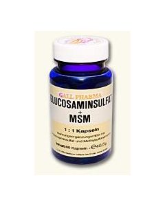 GPH Glucosaminsulfat + MSM 1:1 Kapseln, 750 Stück