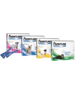 Frontline Spot-on für kleine Hunde, 6 Stück