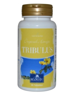 TRIBULUS                      TABL 400MG EXTRAKT -HANOJU, 90 Stück