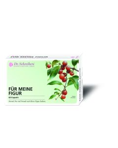 DR.SCHREIBERS                 F MEINE FIGUR, 60 Stück